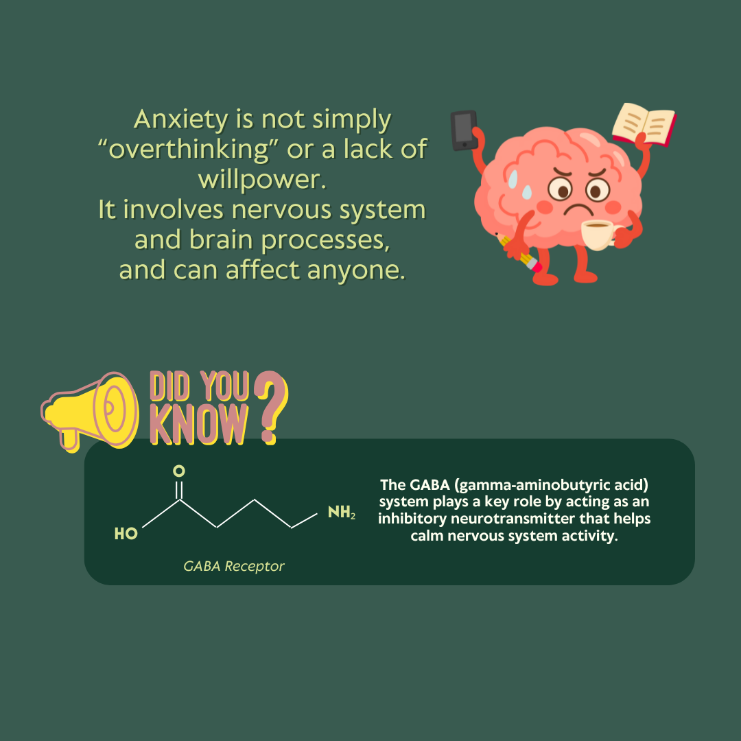 understanding anxiety 5